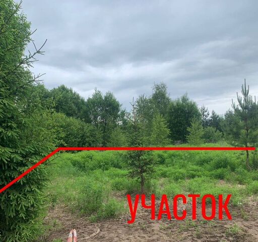 мкр Клязьма 12 км, Верещагинская ул., 6, г. о. Пушкинский, Пушкино, Ярославское шоссе фото