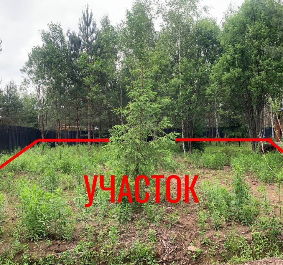 земля г Пушкино проезд 1-й Чеховский 3 16 км, г. о. Пушкинский, Ярославское шоссе фото 1
