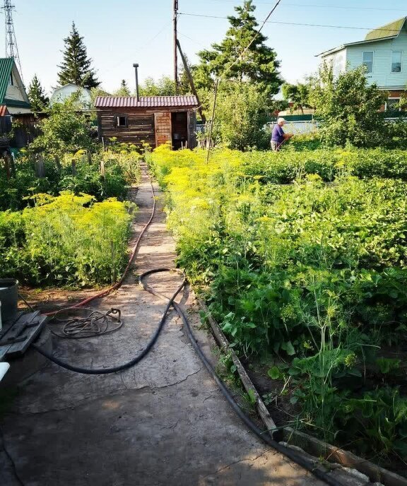 дом г Омск ая городская общественная организация садоводов Бодрость-1, 1-я аллея фото 4
