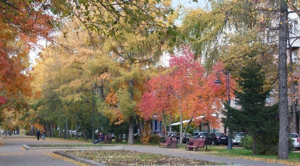 квартира г Кемерово р-н Центральный ул Весенняя 15 фото 24