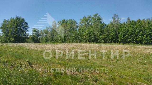 земля п Хрустальная турбаза, 21, Западный управленческий округ фото