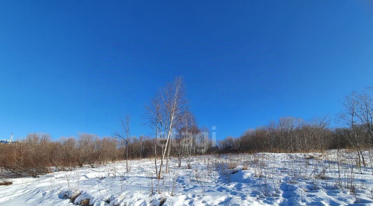 земля г Петропавловск-Камчатский Сероглазка жилрайон фото 23