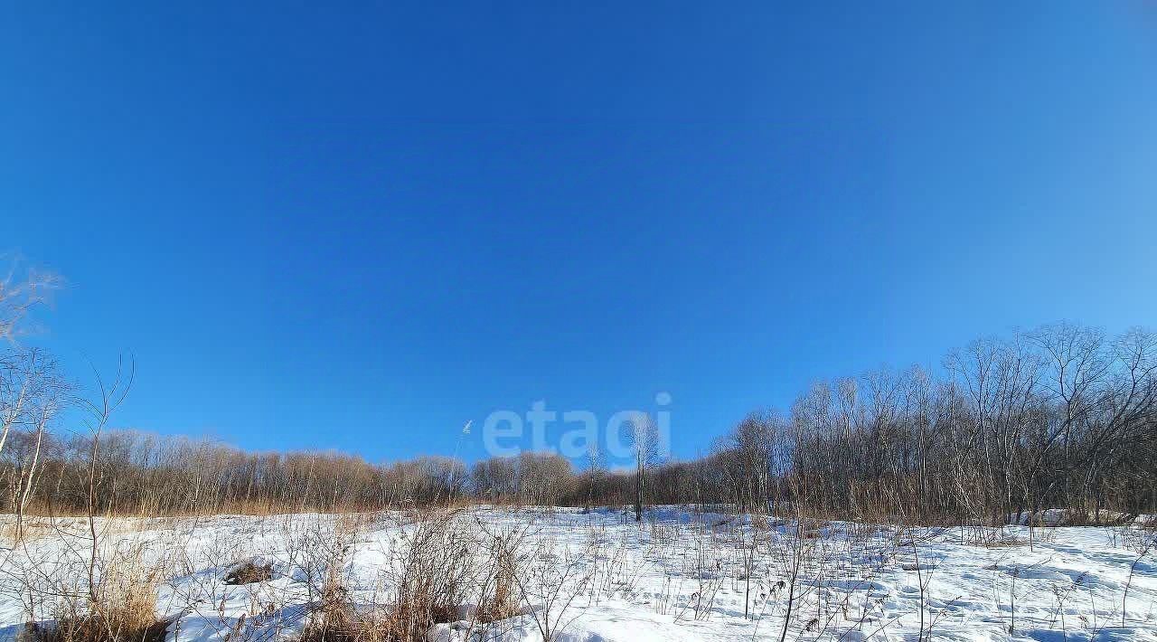 земля г Петропавловск-Камчатский Сероглазка жилрайон фото 25