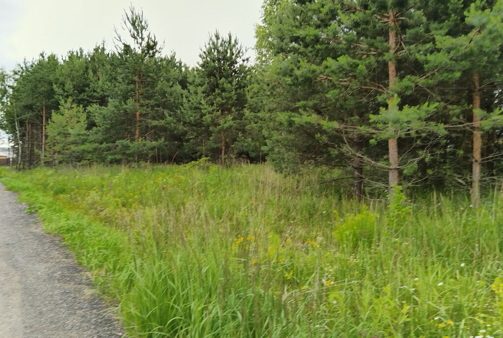 земля г Раменское Раменское, КП Дергаево-2 фото 2