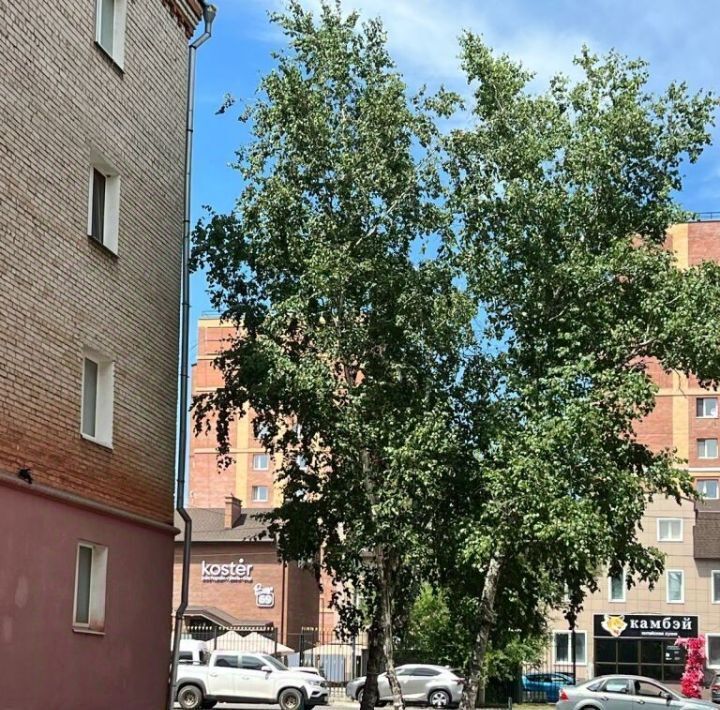 квартира г Благовещенск ул Октябрьская 156 фото 15