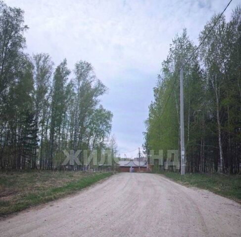 ул Героев России сельсовет, Кудряшовский фото