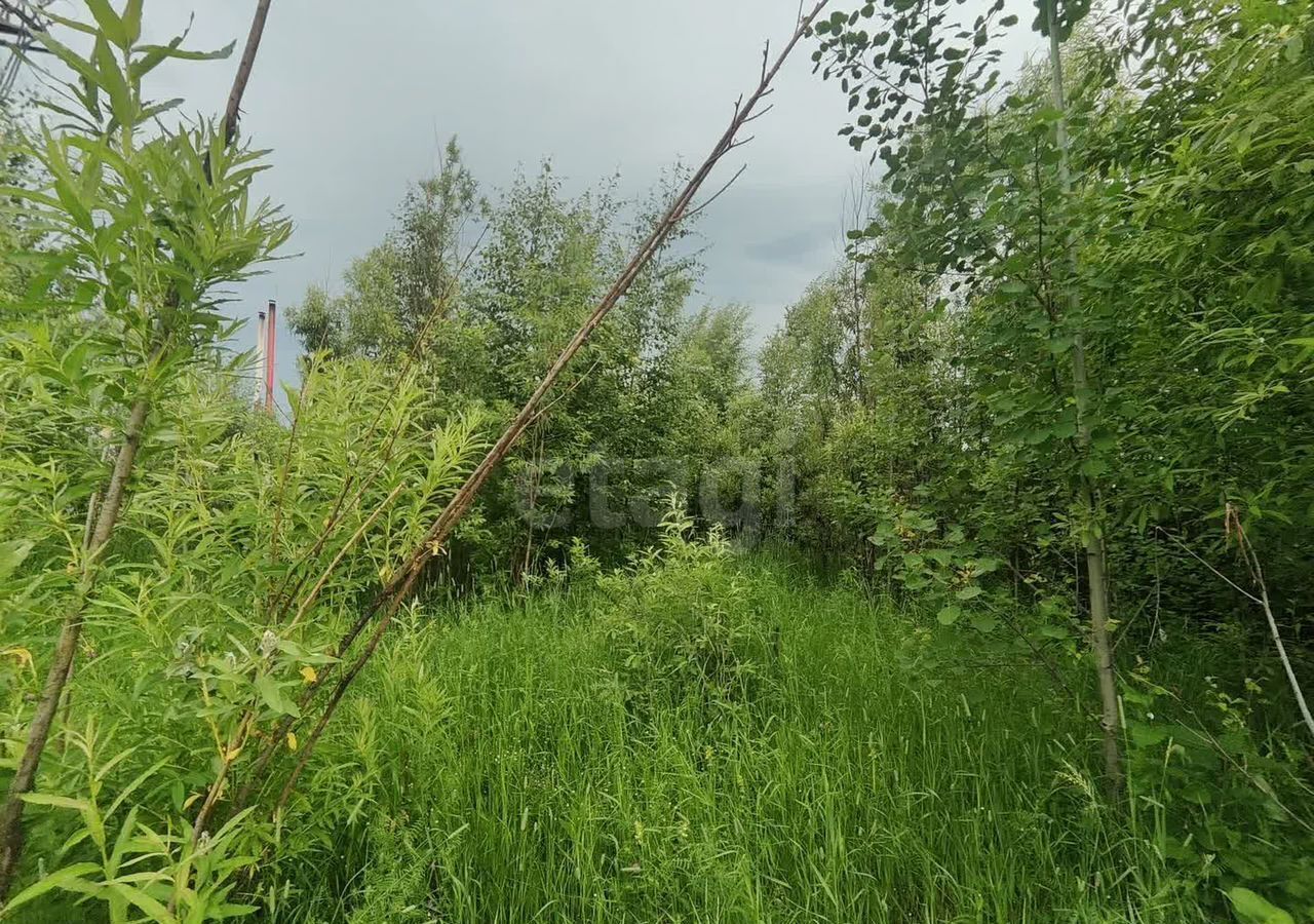 земля г Нижневартовск пер Звездный Тюменская обл. фото 5