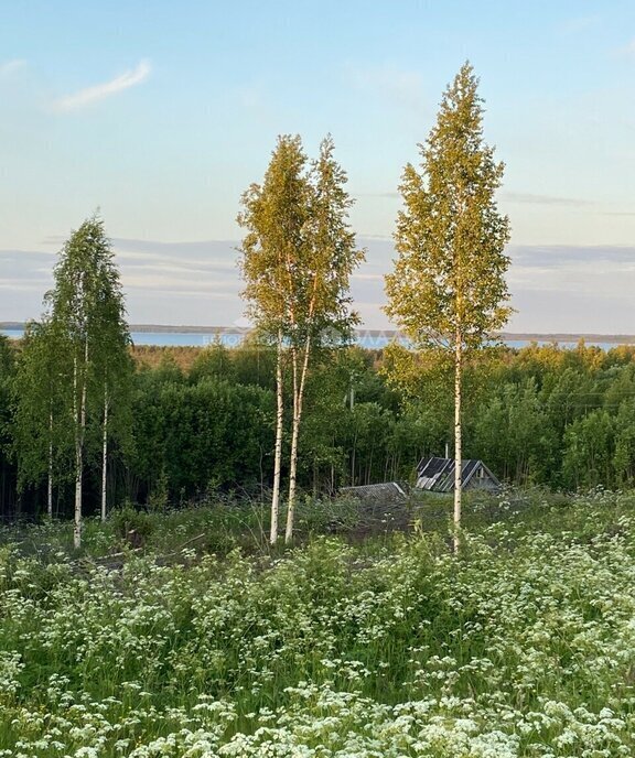 земля г Северодвинск д Таборы ш Кудемское фото 1