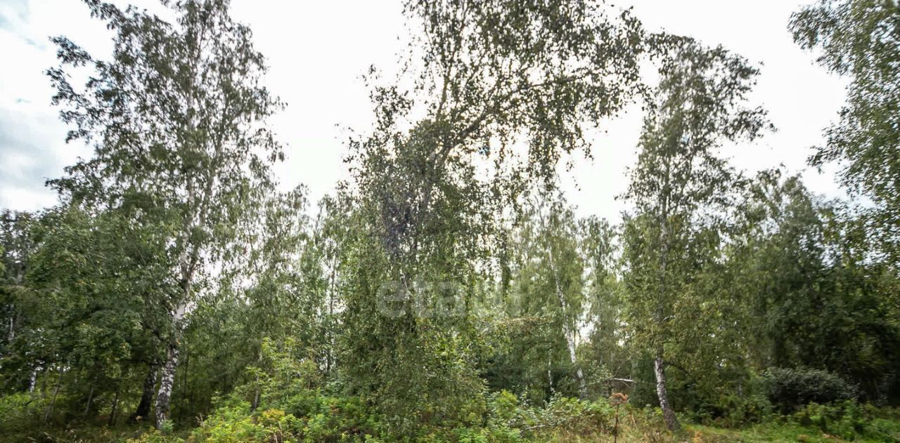 земля г Бердск жилой район «Раздольный» фото 7