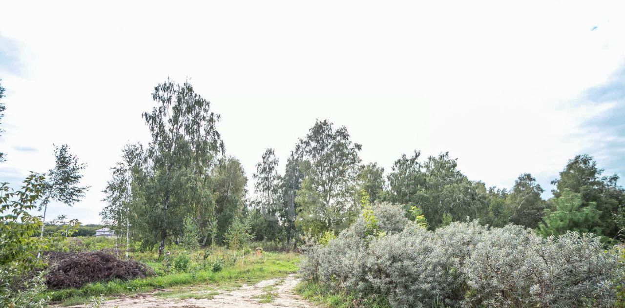 земля г Бердск жилой район «Раздольный» фото 20