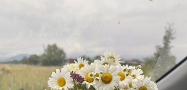 земля ул Фидарова фото земля ул Фидарова фото