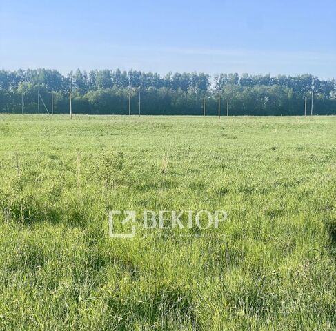 р-н Костромской п Губачёво с пос, Никольское фото