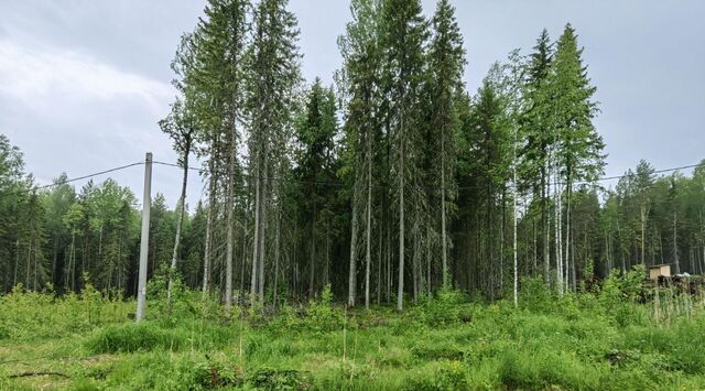 земля ул Усадебная фото
