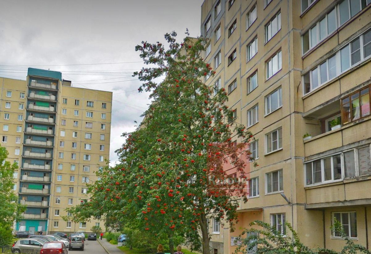 квартира г Колпино ул Оборонная 10 Шушары фото 13