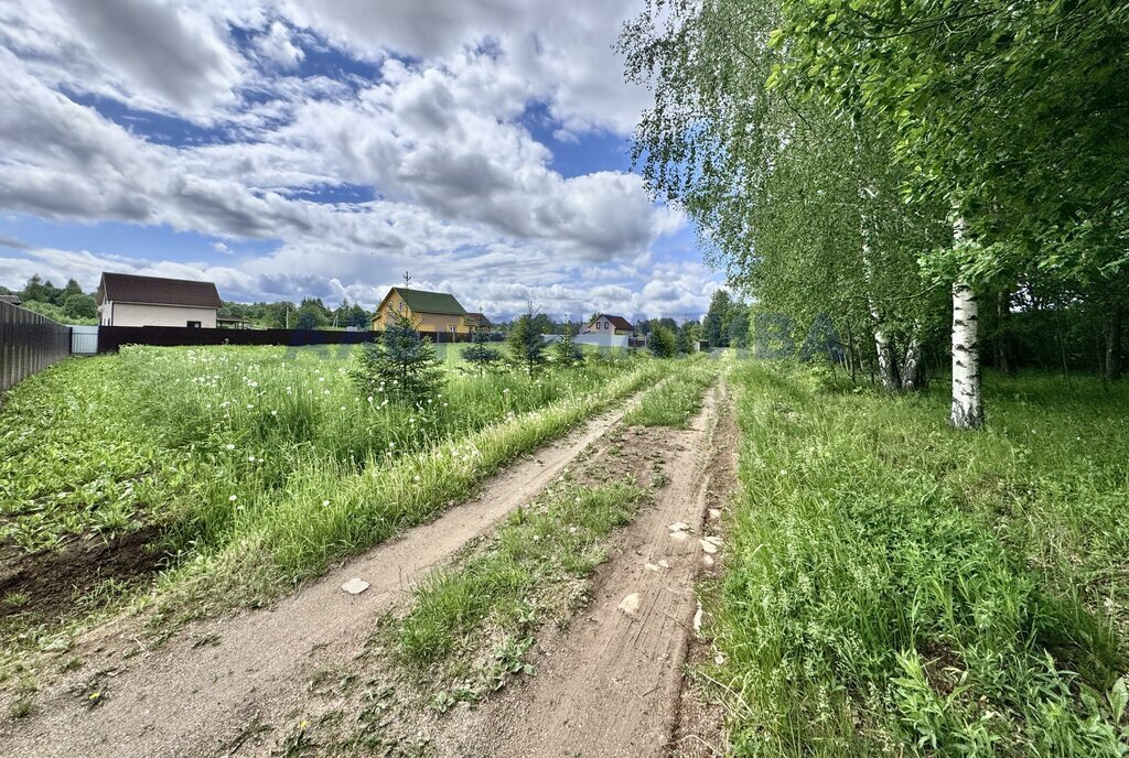 земля г Переславль-Залесский ДНП Залесье, Центральная улица фото 4