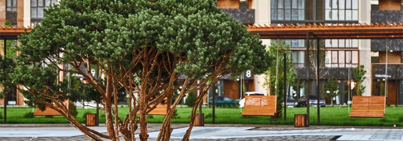 квартира г Краснодар р-н Прикубанский ул Штурвальная 10 фото 13