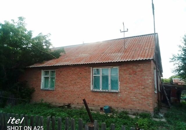 ул Новая 4 сельсовет, Ельцовский, Курья фото