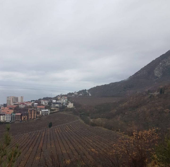 земля г Алушта с Лазурное ул Карьерная фото 9