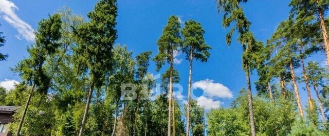земля дом 10 Павловская Слобода, Коттеджный поселок Лесные Зори, Московская область, городской округ Истра фото