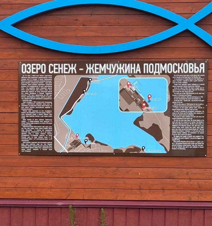 квартира г Солнечногорск ул Красная 128 фото 18