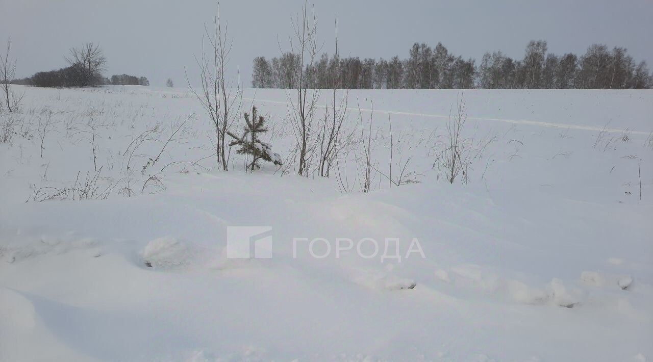 земля г Барнаул п Черницк ул Черничная фото 5