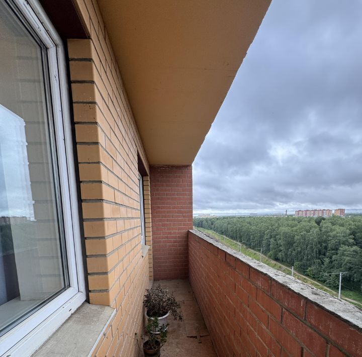 квартира г Королев ул Сакко и Ванцетти 24б Медведково фото 29