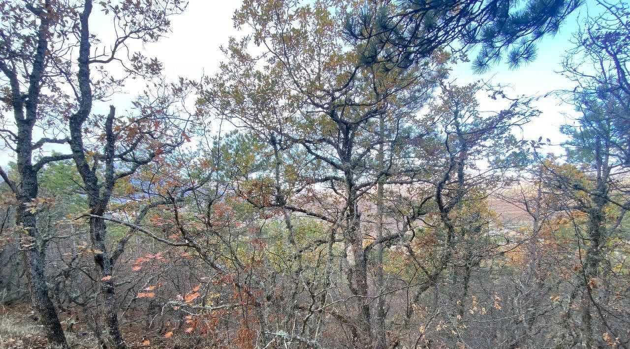 земля г Алушта п Семидворье фото 6