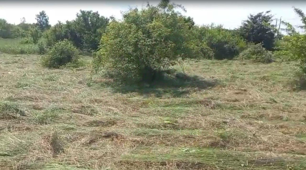 земля г Горячий Ключ ЖК «Предгорье» ДНП, ул. Изобильная фото 3