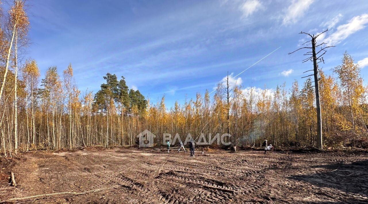 земля р-н Всеволожский г Всеволожск ул Мужества Ладожская фото 1