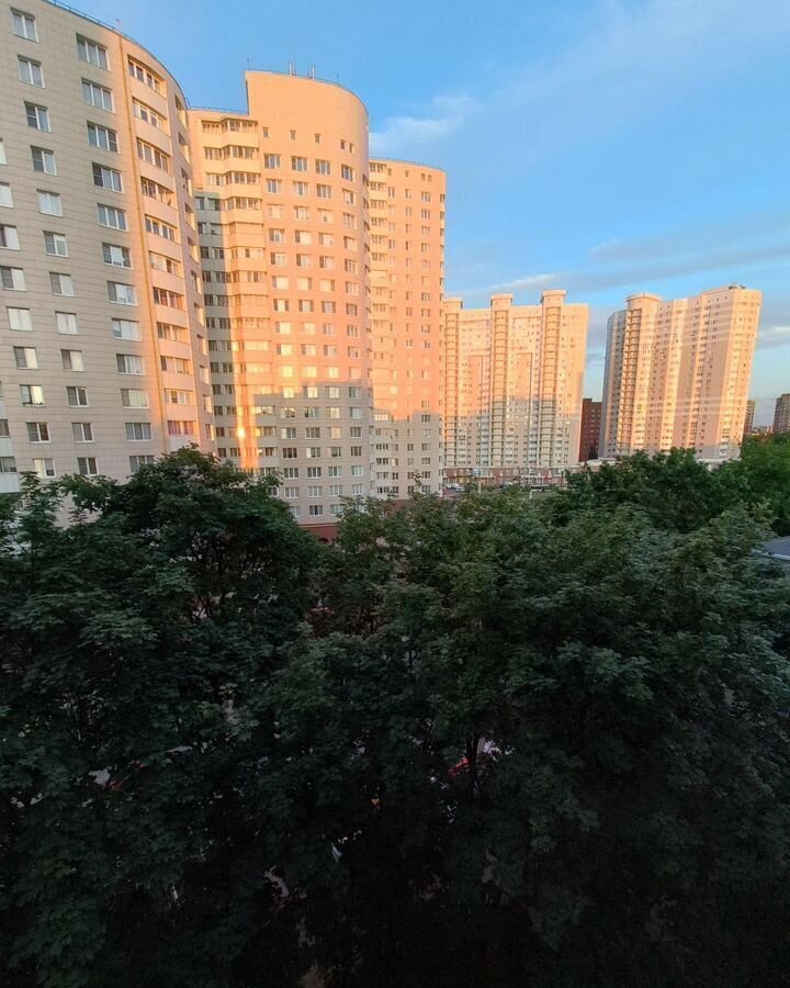 квартира г Пушкино ул Тургенева 20 г. о. Пушкинский фото 7