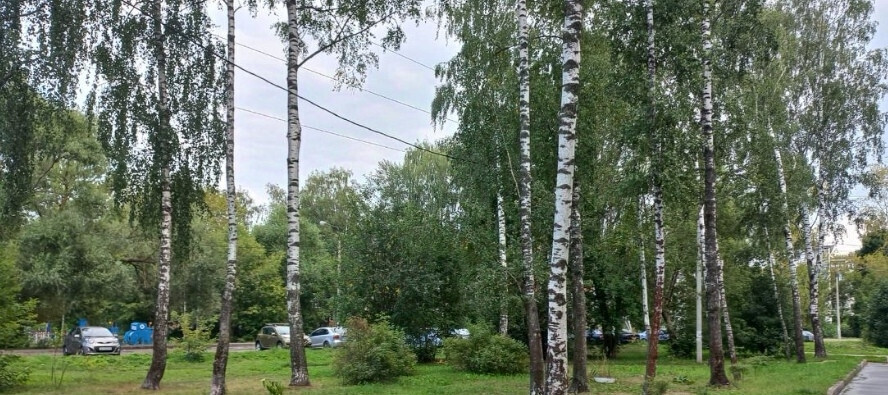 квартира г Орехово-Зуево ул Гагарина 43а фото 5