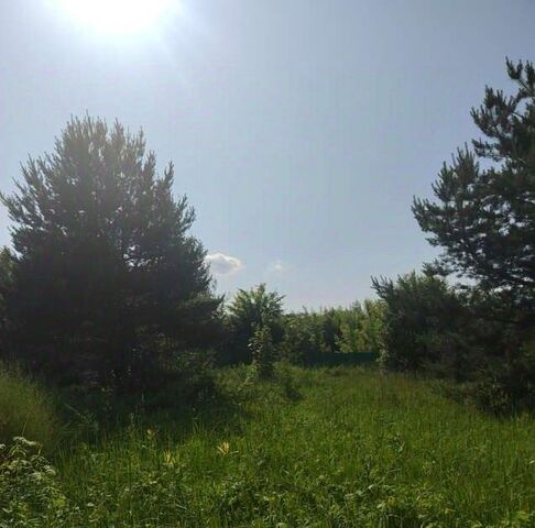 Коломна городской округ фото