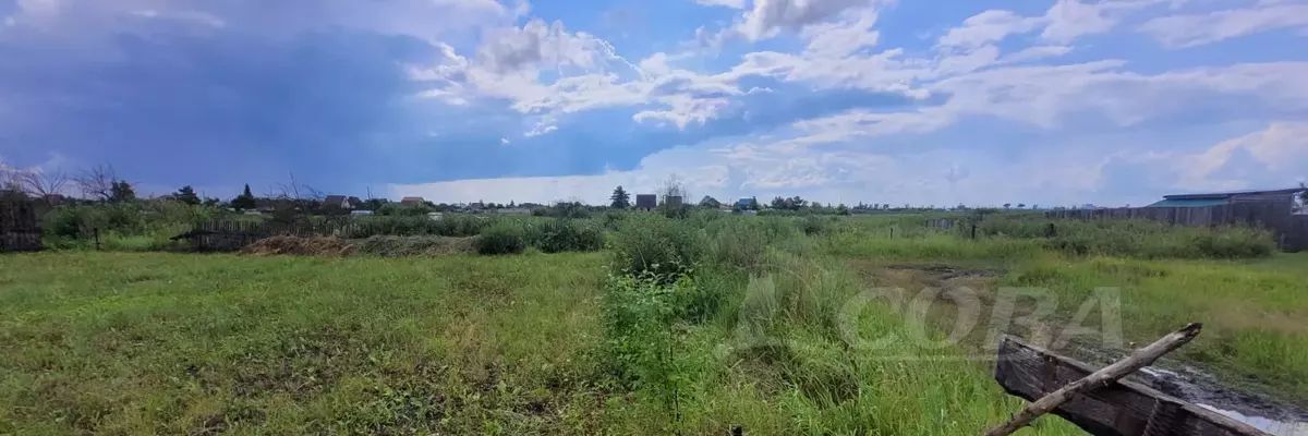 земля г Курган снт Черемушки-4 фото 5