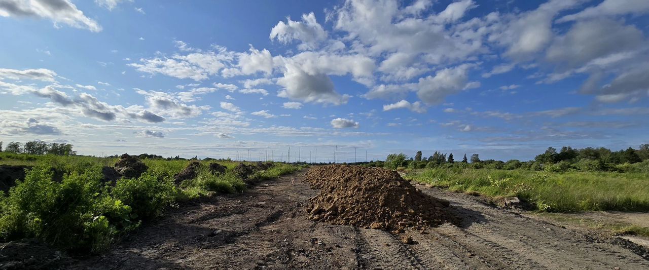 земля г Красное Село тер Сергиево 12 км, Лаголовское сельское поселение, Ленинградская обл., Ломоносовский р-н, Красносельское шоссе фото 4
