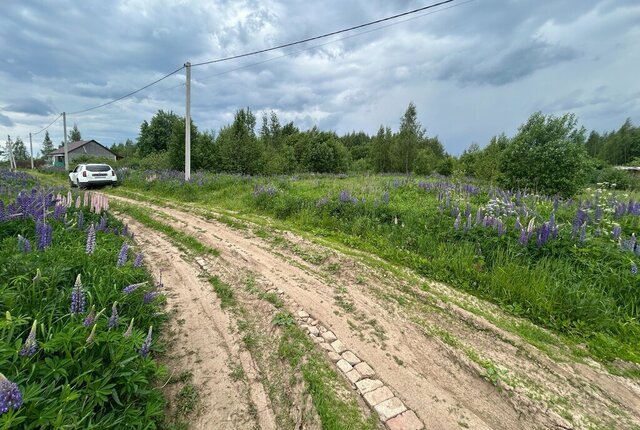 земля посёлок Совхоз Правда фото