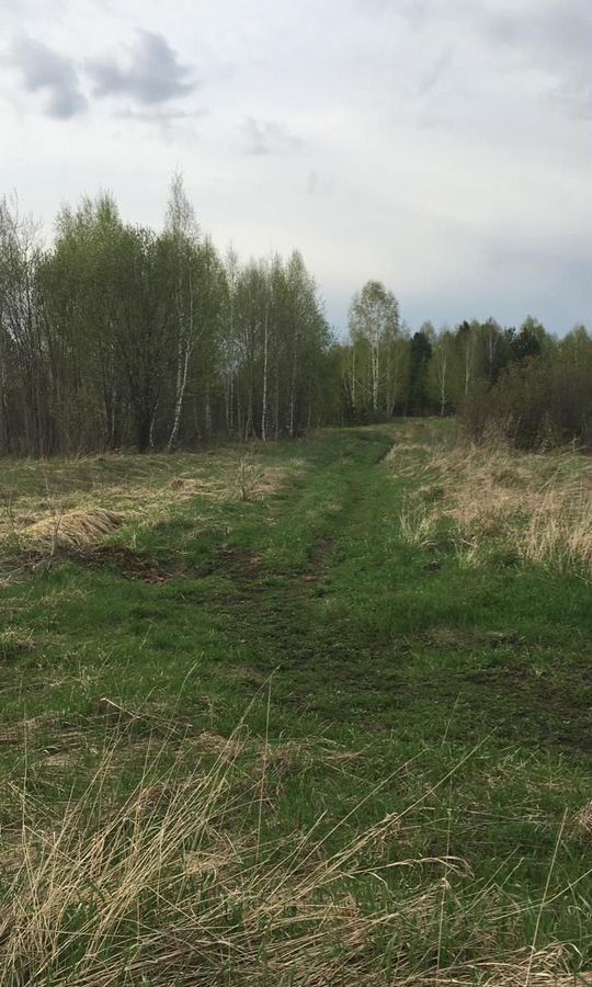 земля г Томск снт Поляна ул. 11В, Томский р-н фото 8