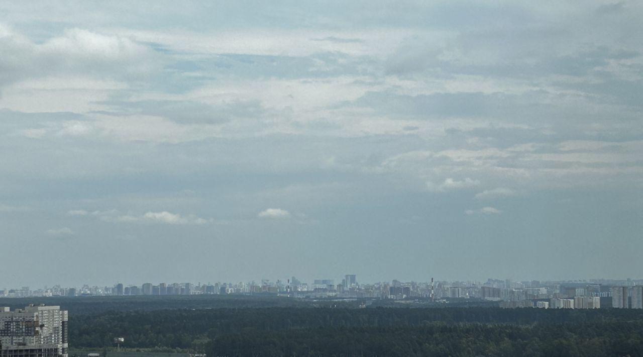 квартира г Одинцово ул Березовая 5к/2 Внуково фото 14