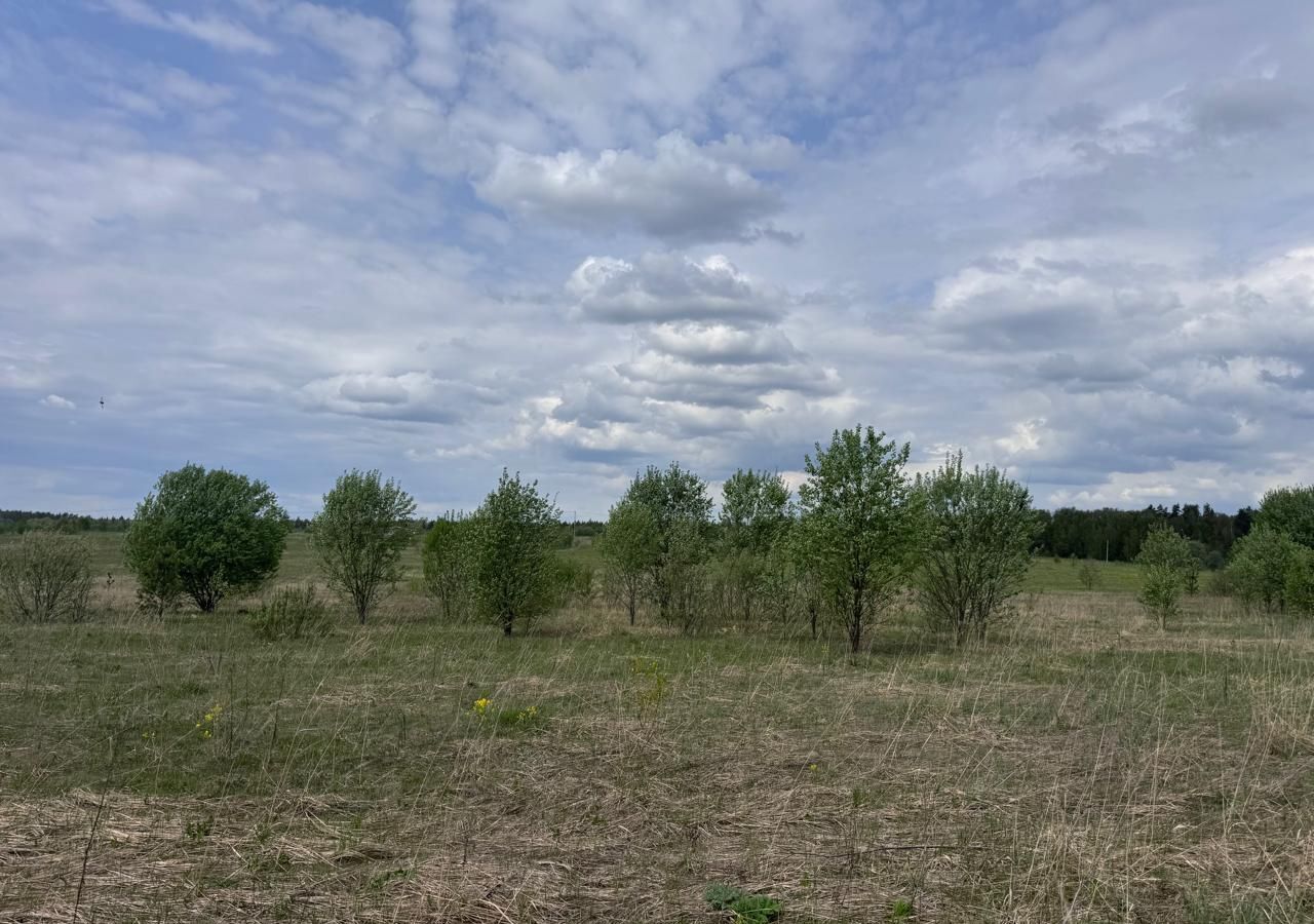 земля г Щёлково 40 км, КП Петровские поля, Красноармейск, Фряновское шоссе фото 1
