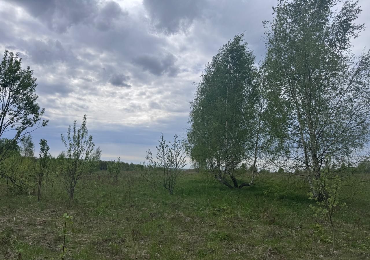 земля г Щёлково 40 км, КП Петровские поля, Красноармейск, Фряновское шоссе фото 4