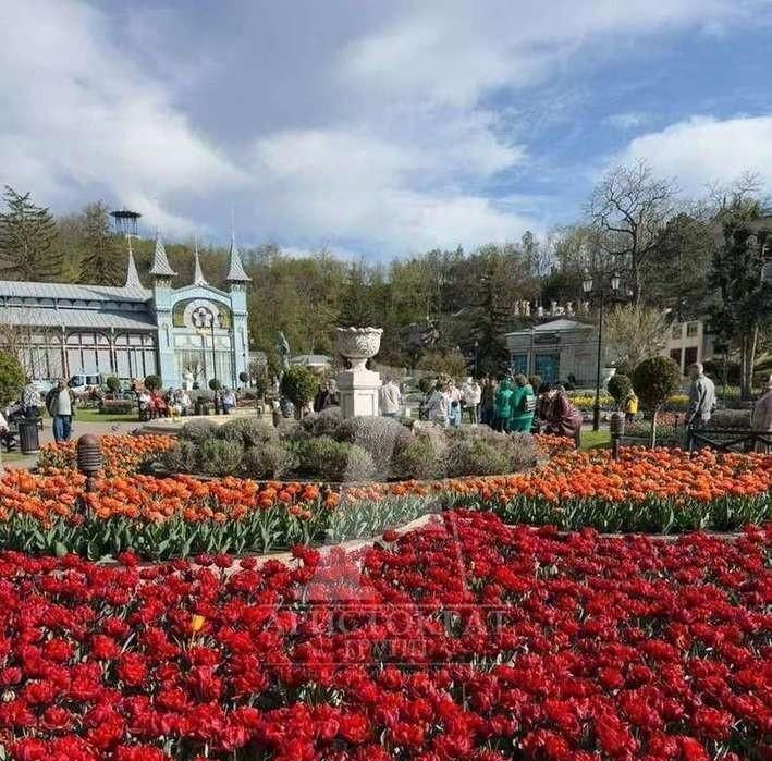 квартира г Пятигорск пр-кт Кирова 23 фото 2