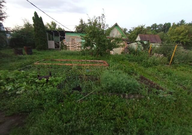 р-н Советский Республика Татарстан Татарстан, АО Татспецстрой с. Дербышки, садоводческое некоммерческое товарищество Дружба фото