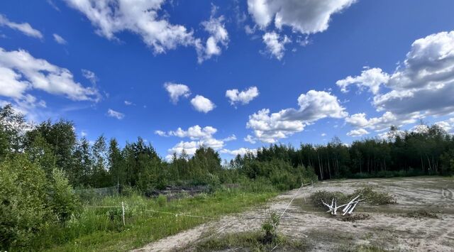 земля снт Вереск Павлово-Посадский городской округ, ул. 10-я фото