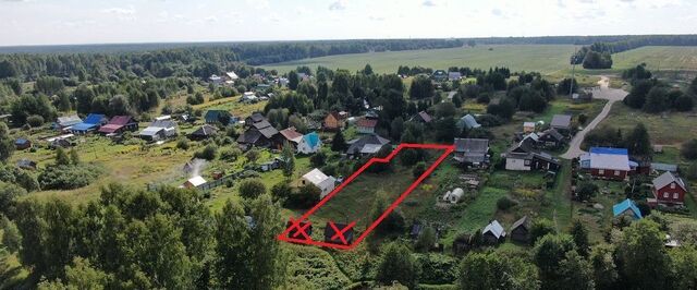 Бор муниципальный округ, д. Лунино фото