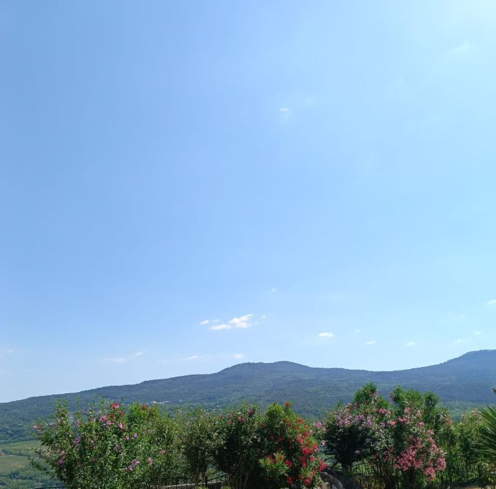 дом г Ялта ул Большевистская фото 21