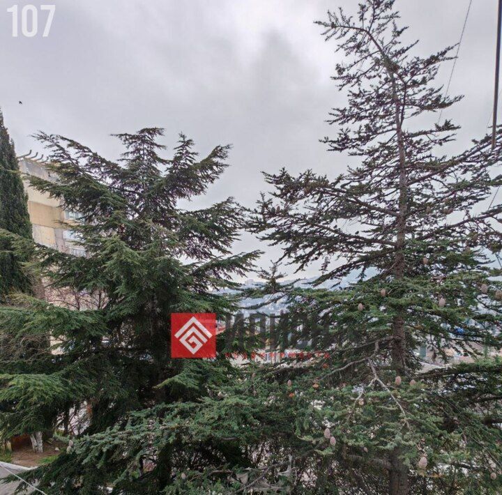 квартира г Ялта ул Халтурина 28 фото 15