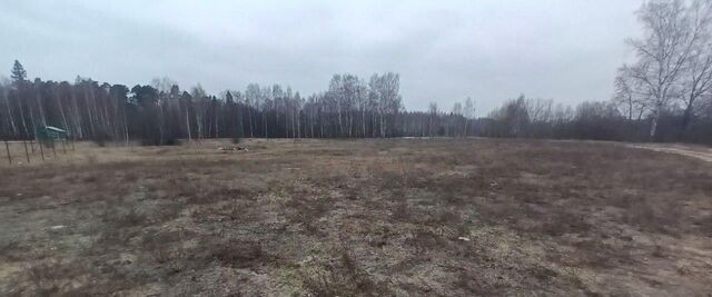 д Савинки фото