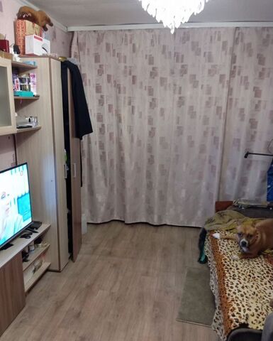 пр-кт Карла Маркса 58 Новоладожское городское поселение фото