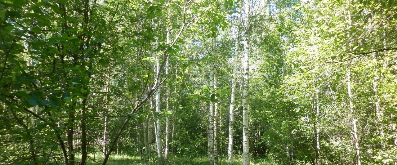 дом г Семенов д Белоглазово Городецкий муниципальный округ фото 8