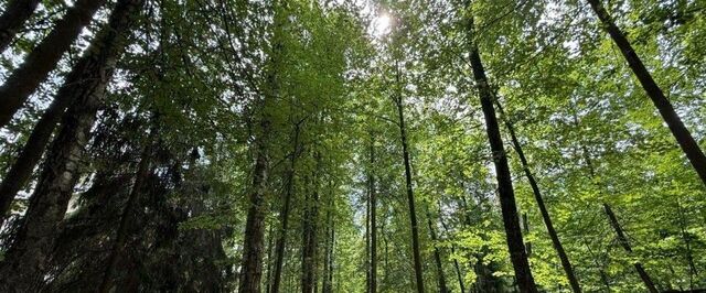 Тайм кп, Одинцово фото