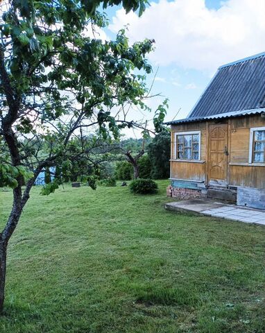 снт Сенчиты Лычёвская волость, Великие Луки фото